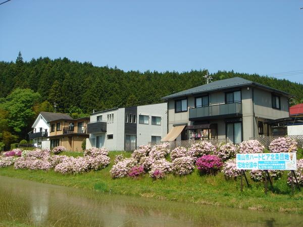 田んぼときれいに咲いているつつじの花の奥にハートピア北条団地が写っている写真