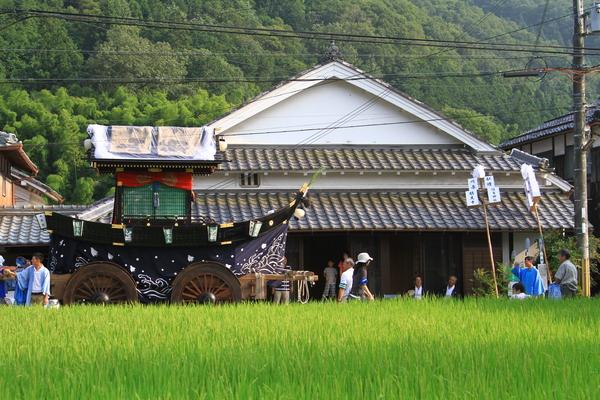 家々が立ち並び、その前を舟形の乗り物が通り、辺りに青々とした稲が茂っている写真