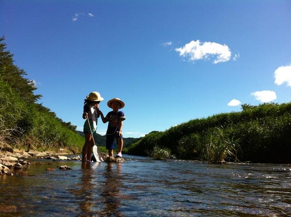 麦わら帽子を被り、川の中の生き物を探そうとしている子供の写真