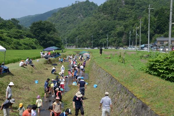水が引いた川に入り、川の中の生き物を探している人々の写真