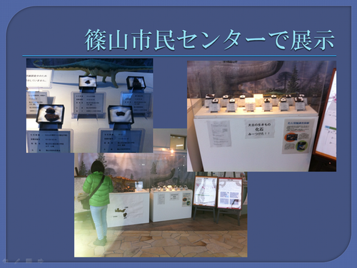 篠山市民センターで展示された時の展示物の写真