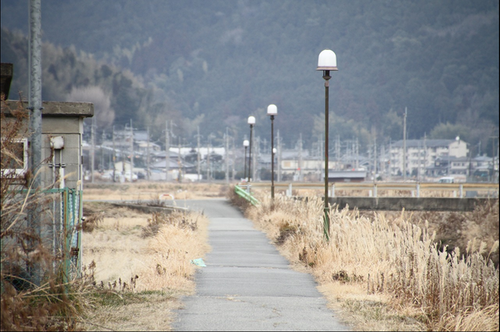 何にもない通学路に、外灯がポツポツとある写真