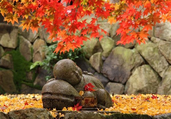 赤黄色の紅葉が咲き誇り、地面には散った紅葉が積もっており、その上に安らかな顔で眠っている石地蔵の写真