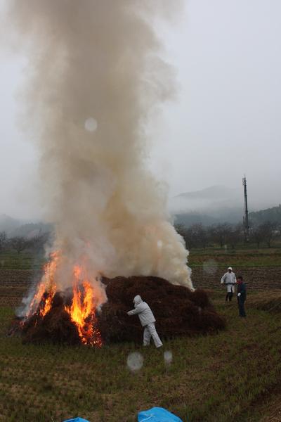 人々が山の芋つるを燃やしており、つるが燃え、そこから白い煙が出ている写真