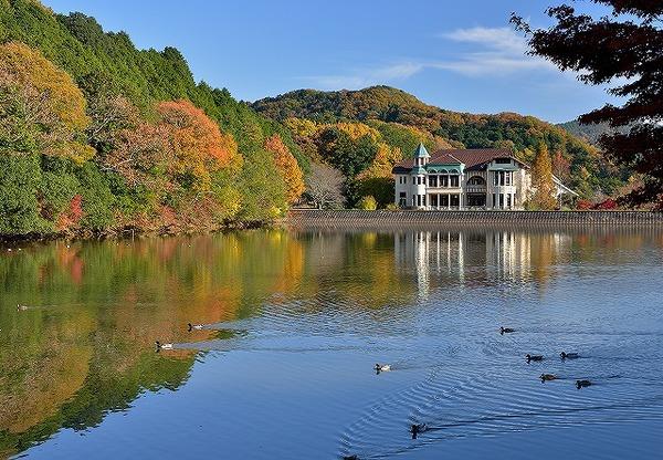 湖の中をカモが泳ぎ、周辺には鮮やかな木々が生え、真正面にはお城のような建物が立っている写真