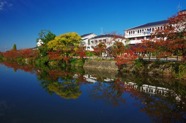 湖の周りに色鮮やかな紅葉が咲き誇り、その向こうには建物が写っている写真