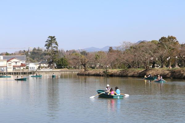 篠山城跡にある池でのんびりボートを楽しむ人達の写真