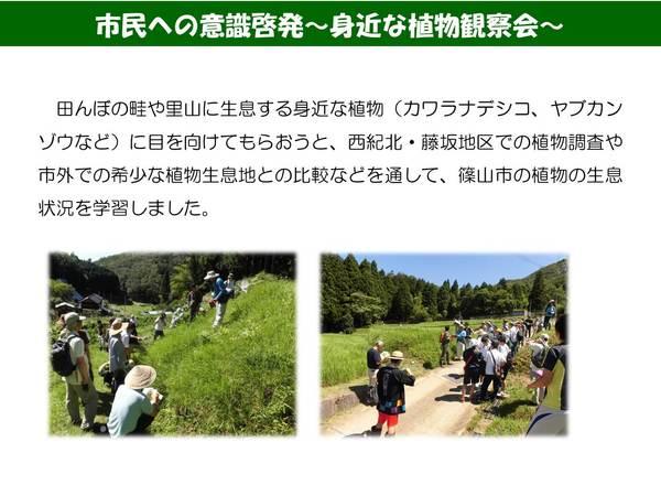 市民への意識啓発~身近な植物観察会~の説明