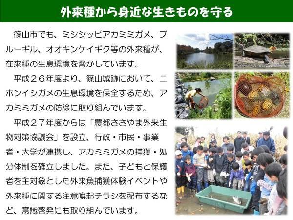 外来種から身近な生きものを守るの説明