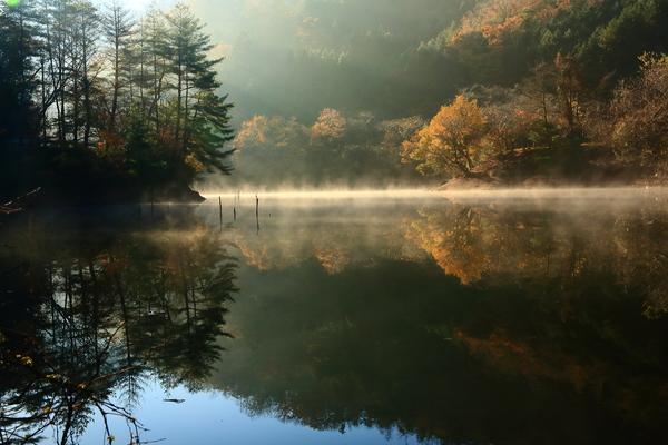 極寒の中湯気がたっている池に後ろの木立が映し出された神秘的な入選受賞の写真