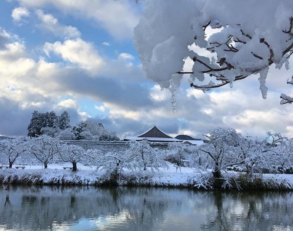 夜中に雪が降り積もった三角屋根の家と川沿いの木々の枝も白く染まり、川を挟んだ枝に積もった雪が氷柱状になっている入選受賞の写真