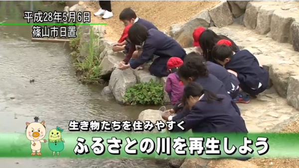 生き物たちをすみやすく ふるさとの川を再生しようの地域の映像ニュースの画像