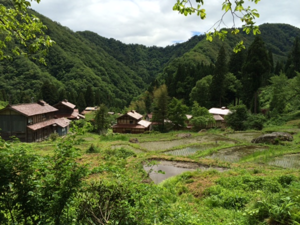 山に囲まれた中に、大きな切妻造（きりづまづくり）の屋根に煙出し（けむりだし）を設け、赤瓦で葺いた家々があり、前方には田んぼが広がっている様子の写真
