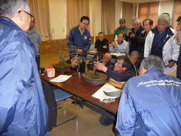 桜の木の盆栽を使って指導している吉良さんの周りに桜協会のメンバーが熱心に話しを聞いて勉強している写真