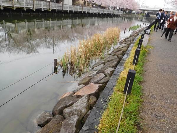 川沿いの遊歩道を男性数名が歩いている写真