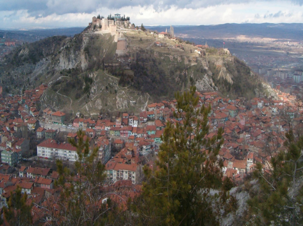 奥には高い山があり、手前には茶色い屋根の家がたくさん建っているのを上空からうつした写真