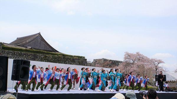 篠山城の屋根の見える舞台の上で、藍紫色の着物を着た女性チームを間に挟んで、青色の入った法被を着て踊っているチームが両脇で踊っている様子の写真