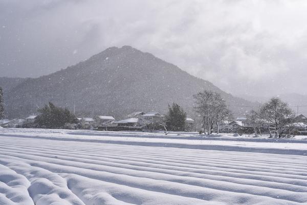 入選 「雪やこんこん」景観写真コンクールの写真