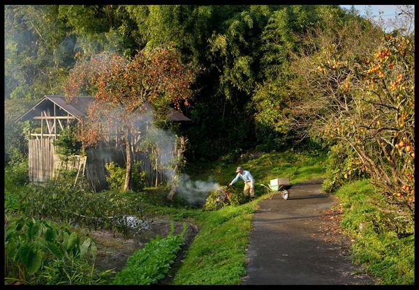 創造農村まちづくり賞 「柿の実熟れる頃」景観写真コンクールの写真