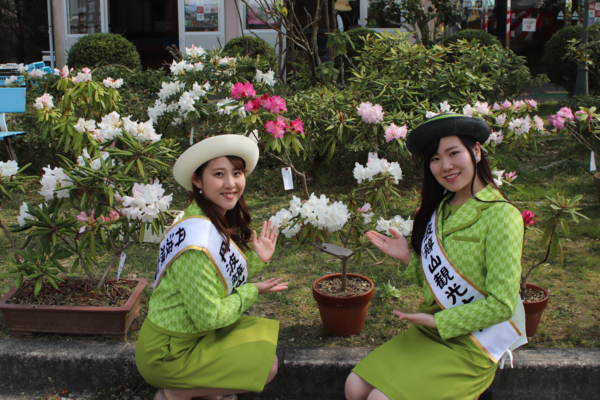 シャクナゲの花を間に挟み観光大使の女性2人が写っている写真