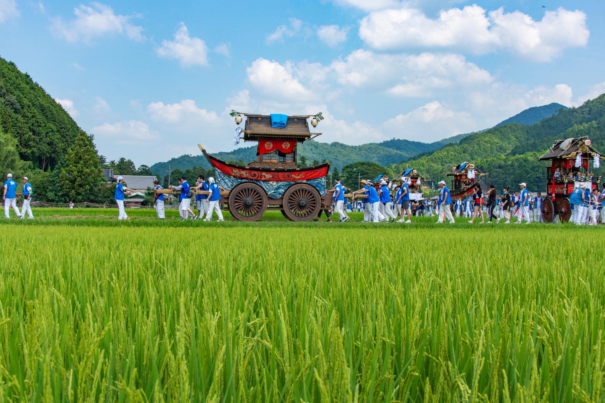 農道を、法被を着た人たちが神輿や山車をひいている。田んぼの稲は実っている。