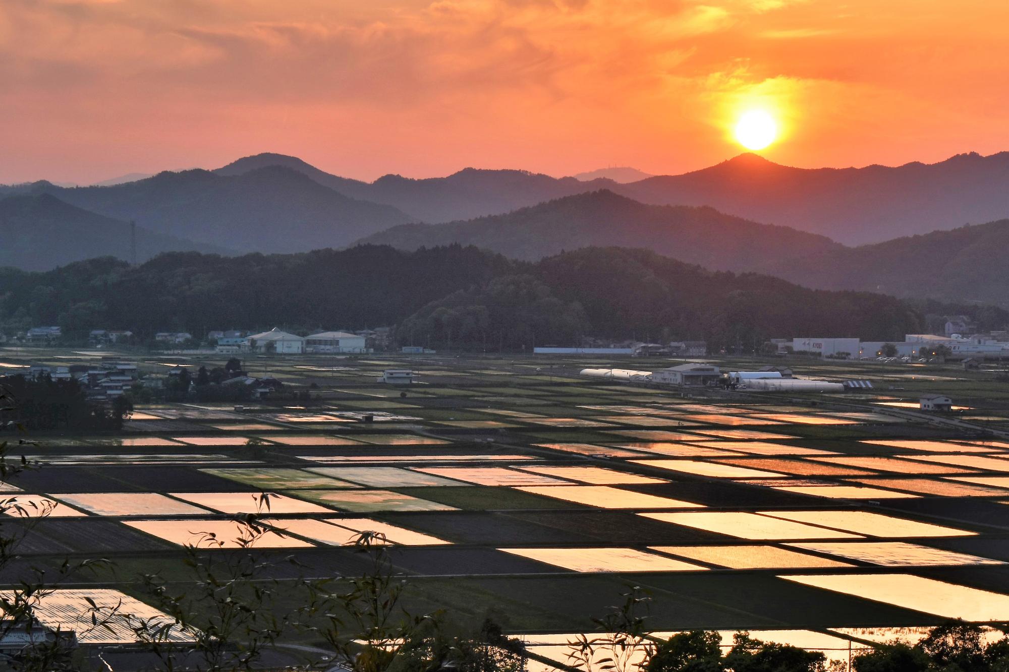 山に夕日が沈もうとしていて、水をはっている田んぼに光が反射している