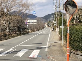 歩道整備前の市道城東線。木の枝が道路に侵入している。