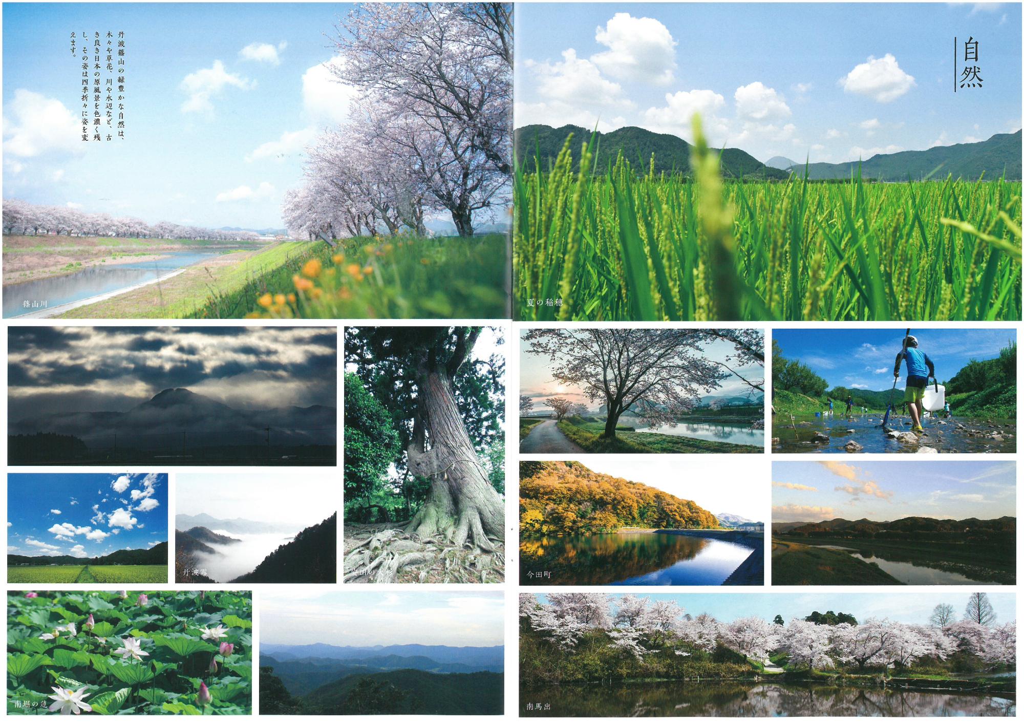 見開きで丹波篠山市の四季折々の写真が掲載されている。桜並木、田園風景、お堀のハスなど。
