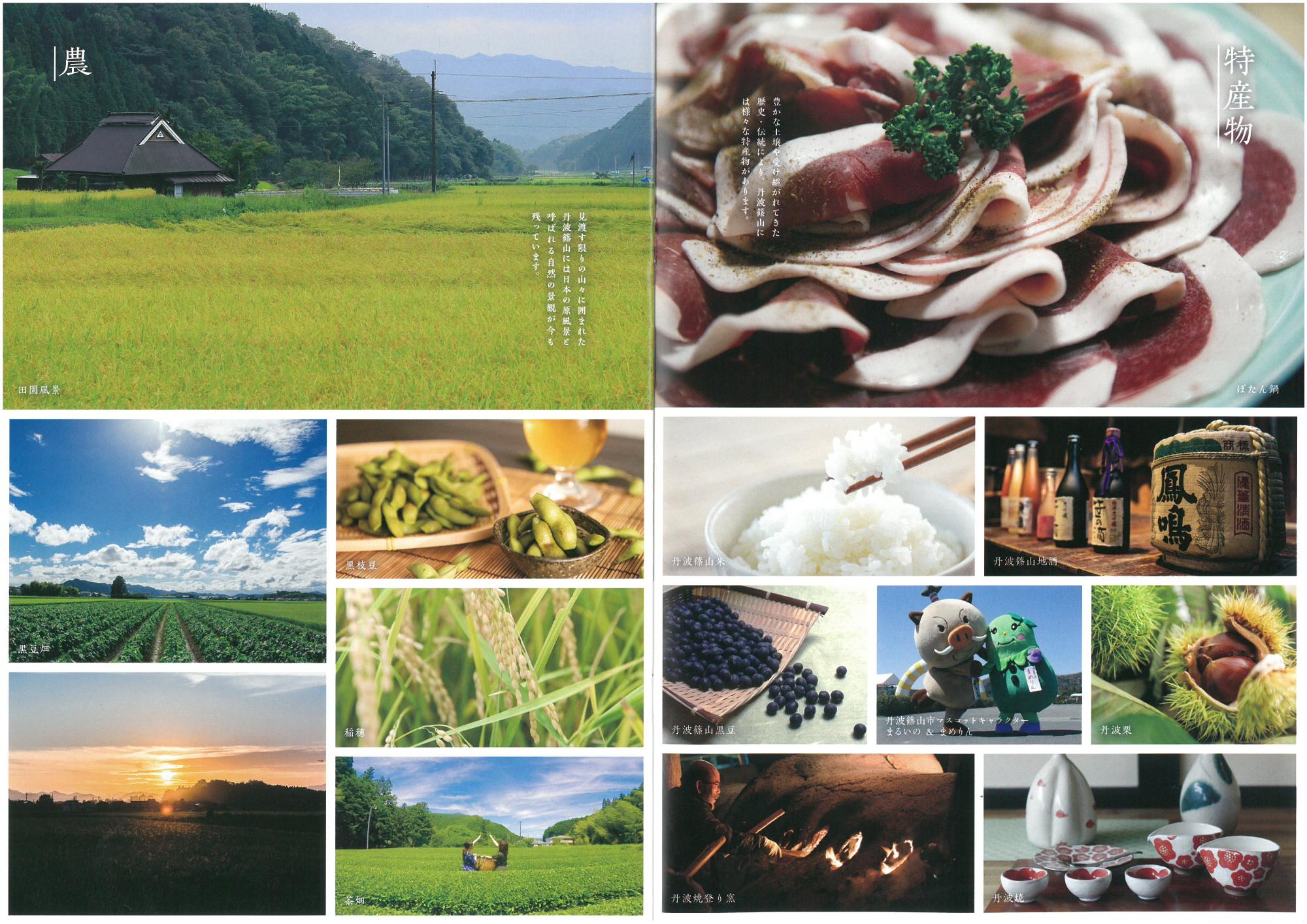 見開きで丹波篠山市の特産物、農の写真が掲載されている。枝豆、丹波栗、丹波篠山米、鳳鳴など。