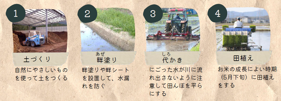 農都のめぐみ米ができるまでの工程を、写真付きで説明している