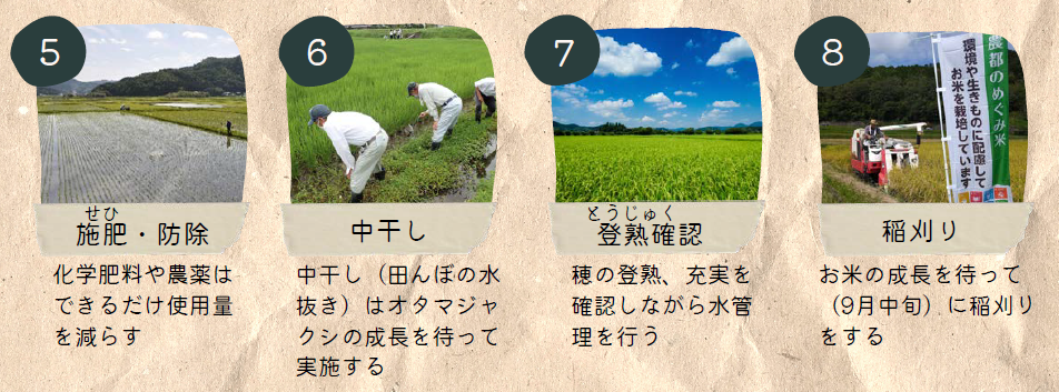 農都のめぐみ米ができるまでの工程を、写真付きで説明している