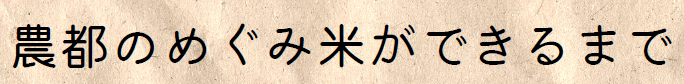 「農都のめぐみ米ができるまで」というタイトル