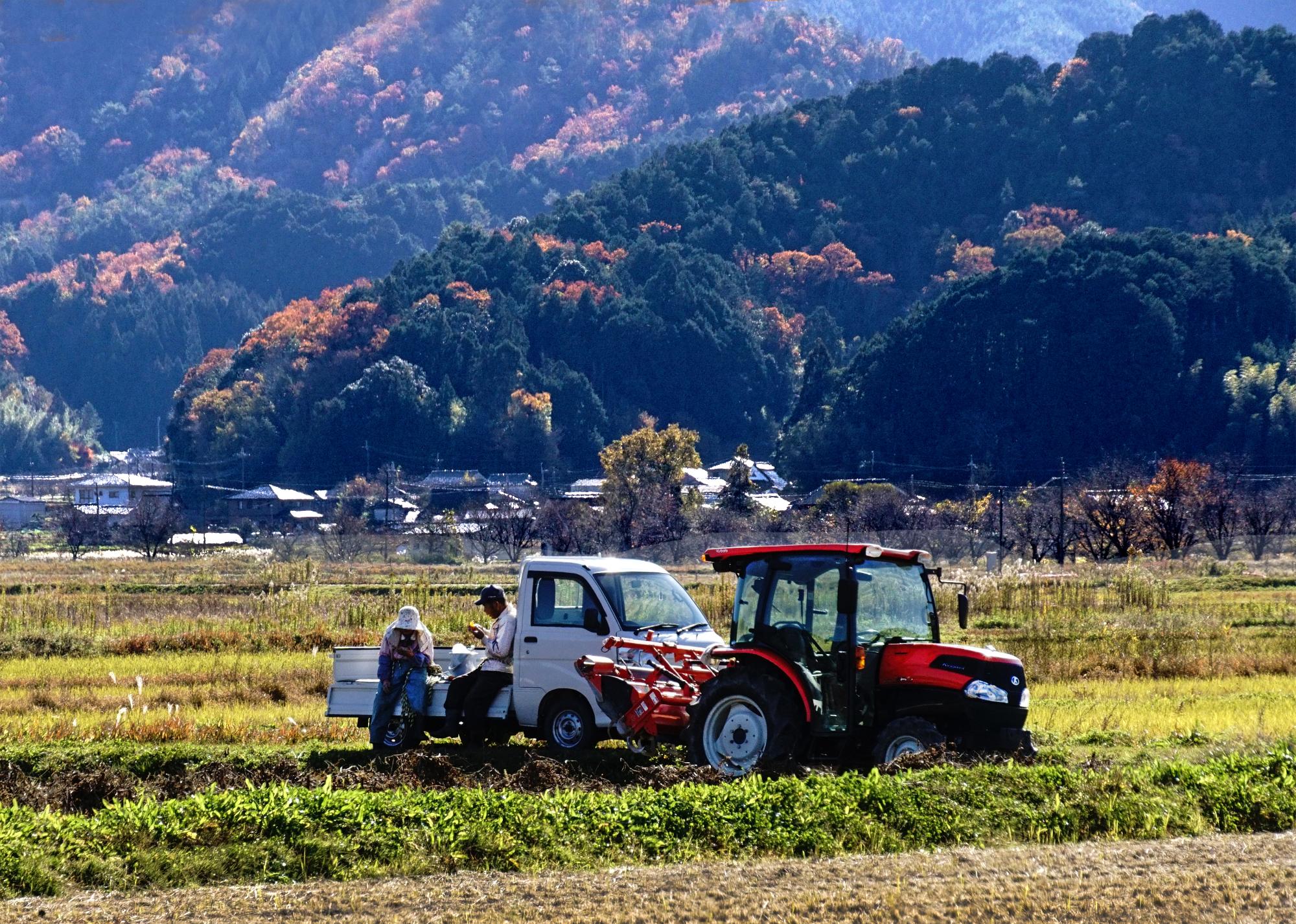 農作物の収穫作業が終わった夫婦が軽トラの荷台で休憩している写真