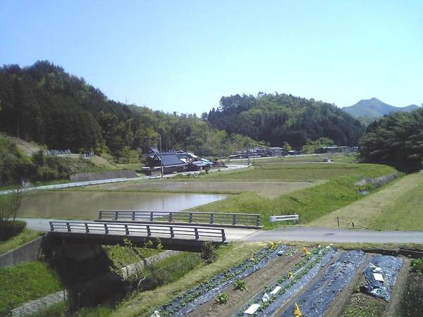 手前に田畑が広がり、奥に緑の山が連なっている桑原の風景写真