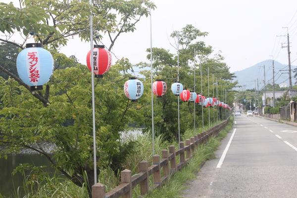 道路の横に赤と水色の提灯が交互に設置されている写真