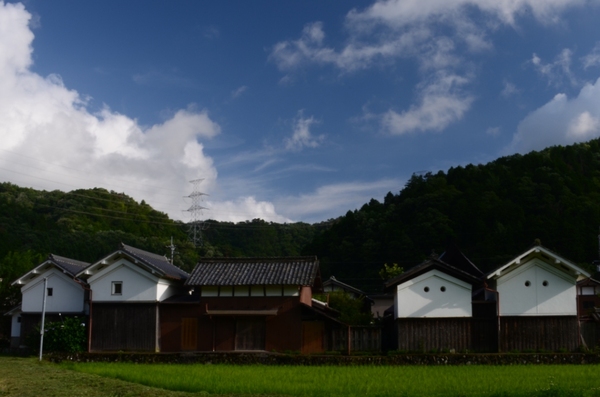お城のような建物の民家が並び、その周りは緑に覆われた畑と、遠くには山々と青空に雲が広がっている写真