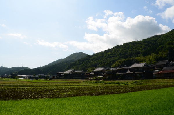畑一面に緑色が広がり、昔ながらの民家が並んでいる、のどかな風景写真