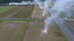 田んぼが広がっており、あちこちの田んぼの真ん中で山の芋のつるを燃やしているシーンの写真
