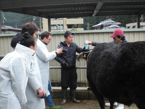大きな黒い牛の前に白衣を着た外国人がカメラを手に持ち撮影、肥育農家を営んでいる田中 久工さんに取材している写真