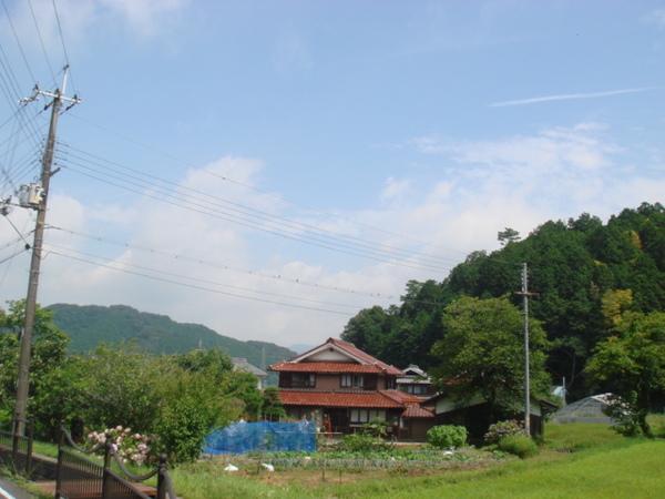 一軒家が建っている周りは自然に囲まれ、電線にはつばめ達がとまっている写真