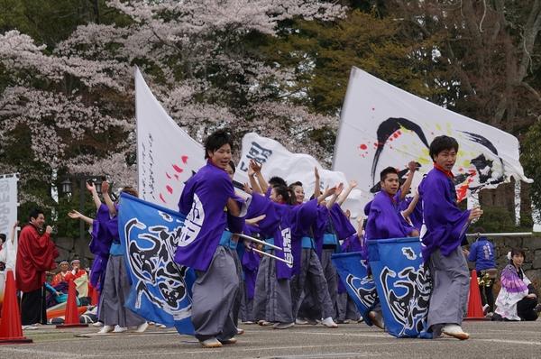 ステージ上で紫色の法被を着たチーム「丹波篠山楽空間」のメンバーが青地に大きな黒文字が描かれた旗を振りかざして踊っている写真