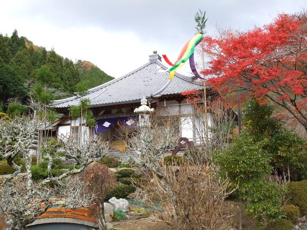 お寺の横に、吹き流しが泳いでいて、真っ赤な紅葉と庭の全体写真