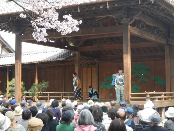桜満開の下、国重要文化財の能舞台と観覧されている多くのファンの写真