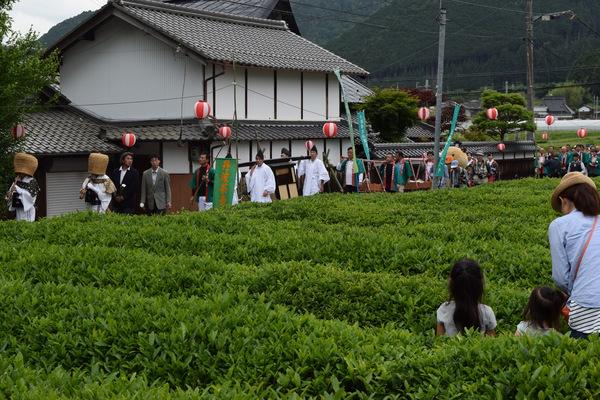 白い衣装を着て天蓋の帽子を被った2名の方に続き、駕籠舁の方や法被を着た人々が茶畑に面した道路を歩いている写真