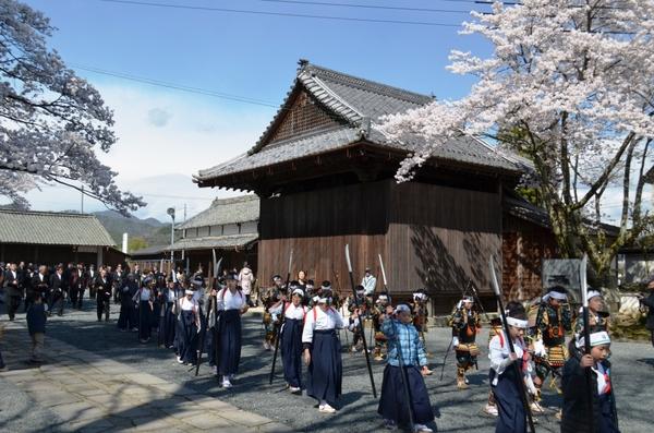 神社の庭に桜が咲いてその下を鎧と袴姿の子供達が歩いている写真