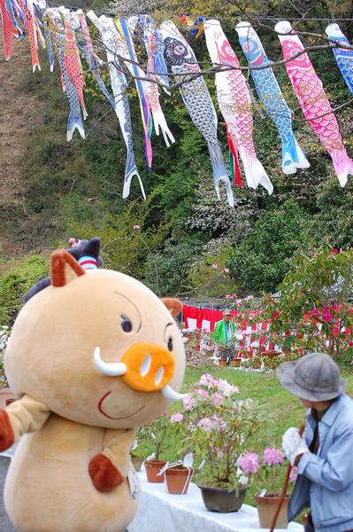 にしきシャクナゲまつりにて鯉のぼりとシャクナゲの盆栽が飾られており、ゆるキャラと杖を持った女性が盆栽を見ている写真