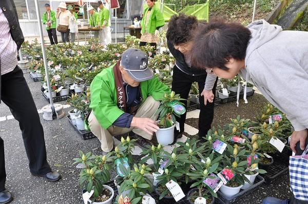 法被を着た男性がシャクナゲの苗を持って説明しているのを、女性2人が興味深く聞いている写真