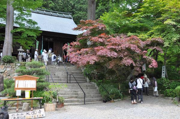 安泰山大國寺の石階段と赤い葉の綺麗な木が写っている写真