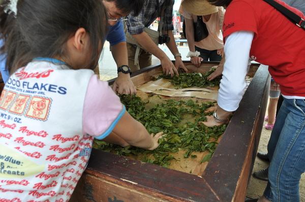 四角い台の上に、摘んだ茶葉が広げられ、小さな女の子と男性や女性が両手で茶の葉を揉みこんでいる様子の写真