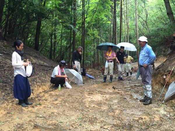 小雨の森の中で傘を差した作業服姿の男性2名、傘をおりたたみ立ち話をしている男性と髪を後ろに束ねた高木さんの写真